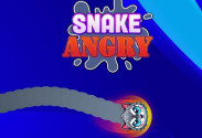 Angry Snake IO