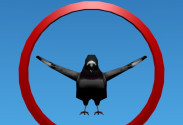 Birdgame io