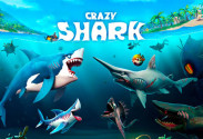 Crazy Shark