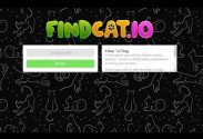 FindCat io