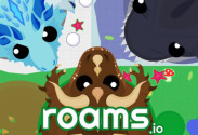Roams.io