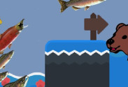 Salmonz.io