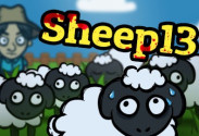 Sheep 13