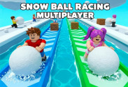 Snow Ball Racing Mutliplayer