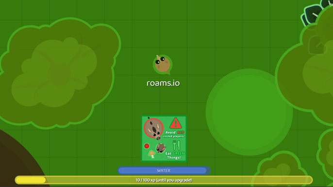 Play roams.io online